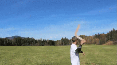untitled.gif