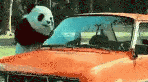 untitled.gif