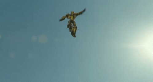 untitled.gif