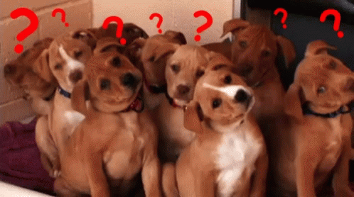 untitled.gif
