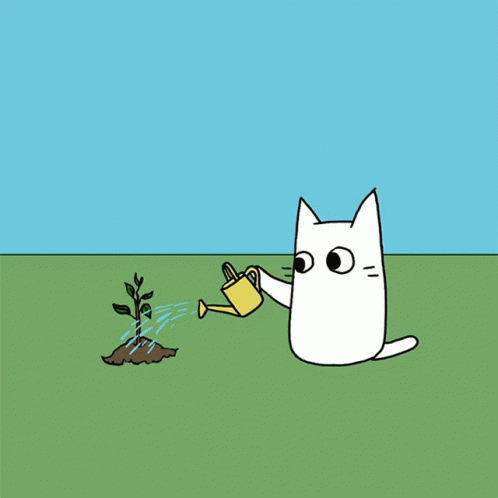 untitled.gif