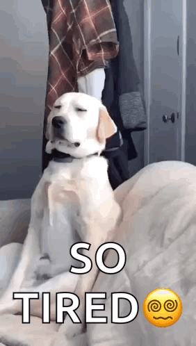 untitled.gif