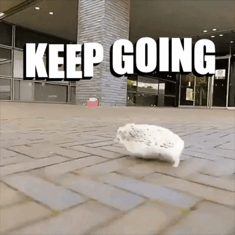untitled.gif