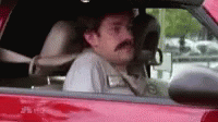 untitled.gif