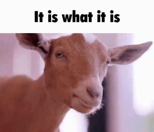 untitled.gif