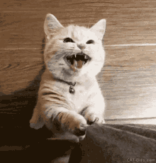 untitled.gif