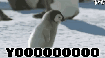 untitled.gif