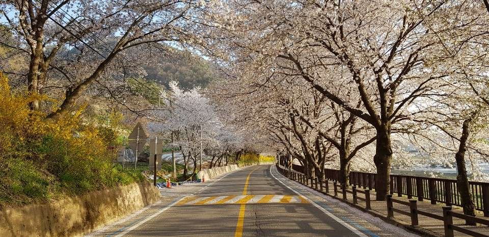 KakaoTalk_20190410_223726973.jpg