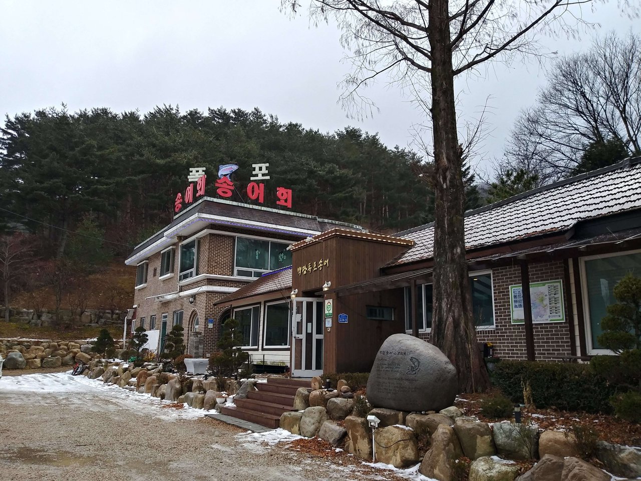 20200126_132947_HDR.jpg