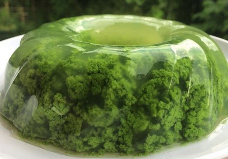 Resep-puding-lumut-hijau-pandan.jpg