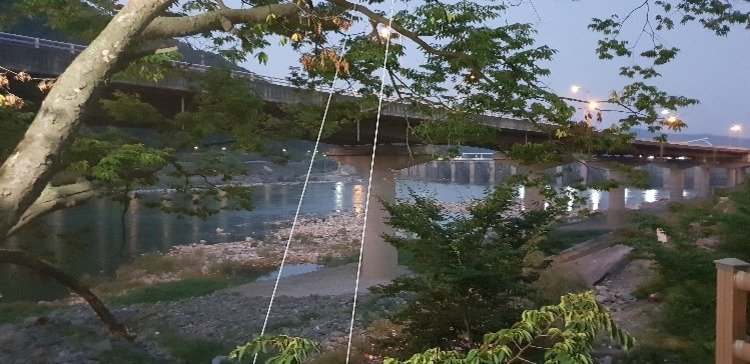 20180719_201540.jpg