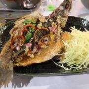 foody-rom-bbq-party-487-636566163374274543.jpg
