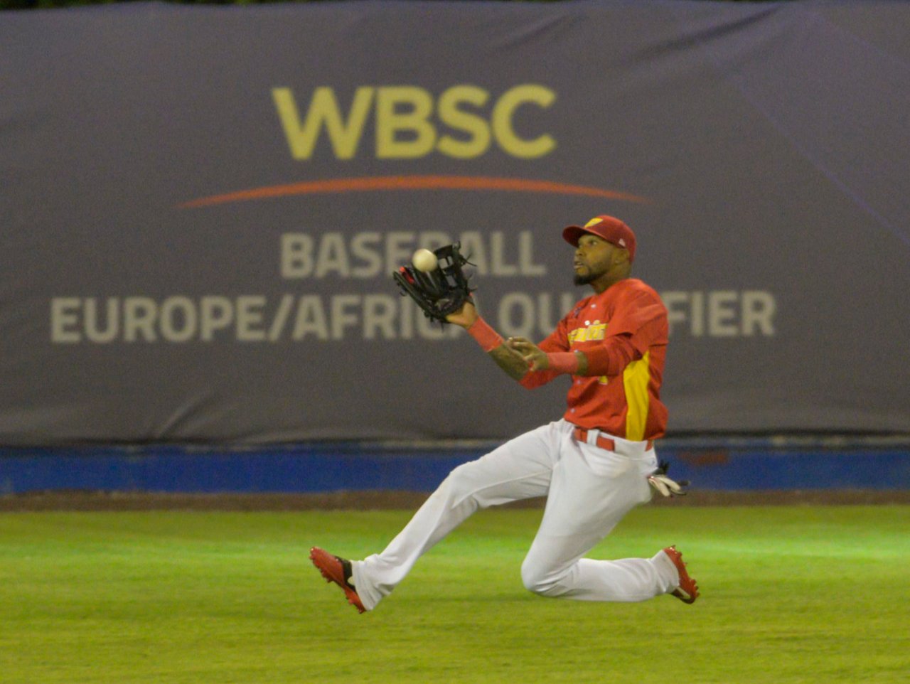 Federación española de beisbol