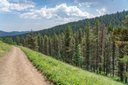 https://steemitimages.com/128x256/https://files.peakd.com/file/peakd-hive/daveks/242hUVDK9ExbPmx9AgbT3dA58KPov1YddHvqh5v5eUmjbrKU59vZTh8zV7NBw4seFLuXa.jpeg