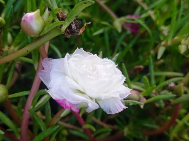 IMG_20220925_172028.jpg