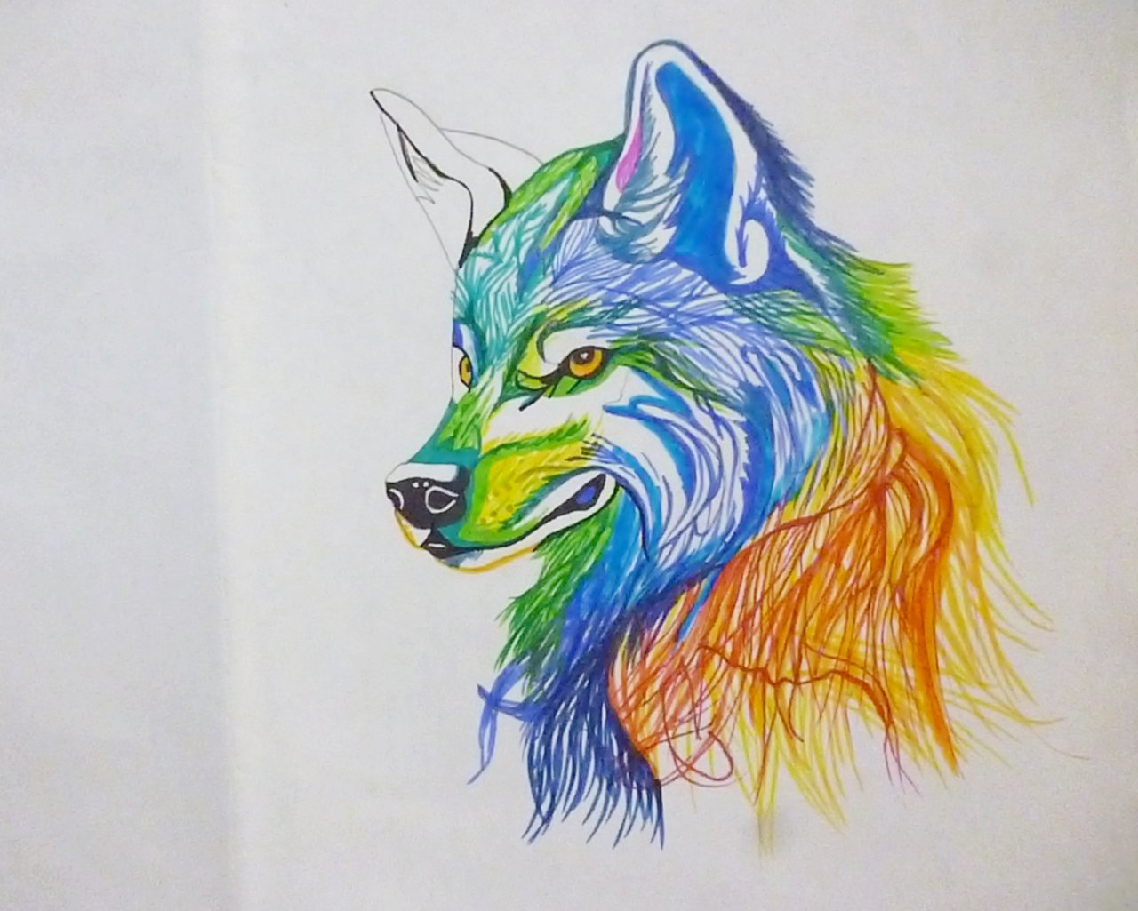 Lobo colorido - arte original | PeakD