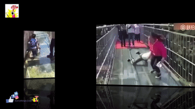 People_are_terrified_to_cross_glass_bridge_in_China_and_Taiwan_Compilation_HD_2.gif