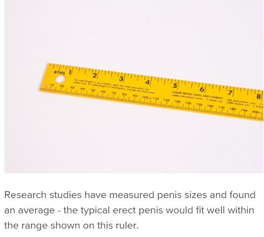 What size is the average penis?