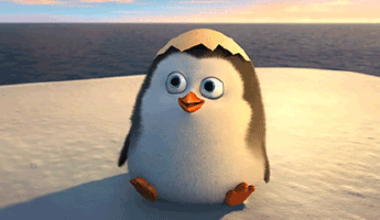 200.gif