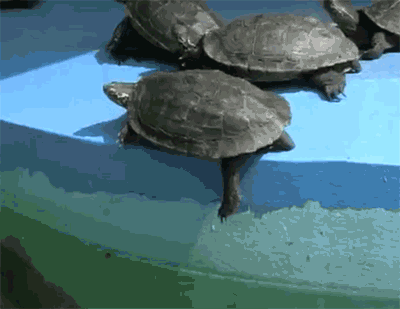 U5dsEU6Z76t5B8yFgYsDsRMM2ccJGxG.gif