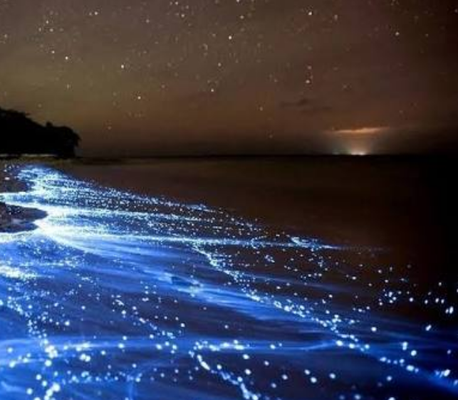 The Sea of Stars on Vaadhoo Island, Maldives