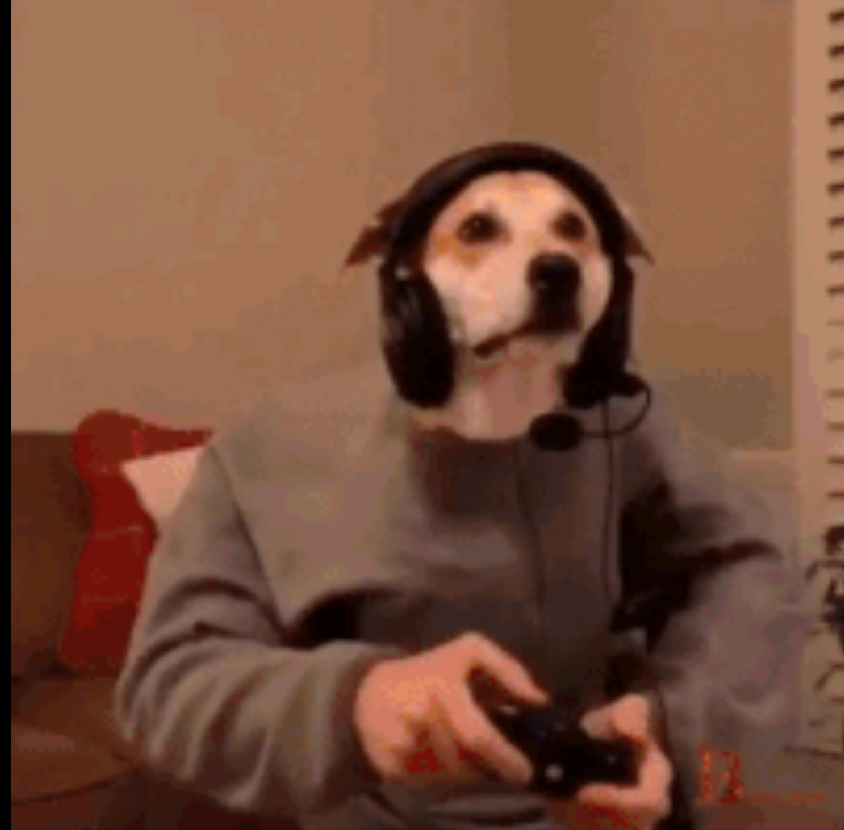 🐩Dog-Man🙇(gif) | PeakD