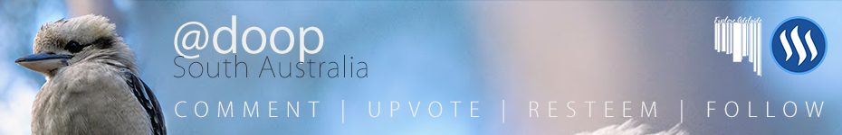 vikki-sig.png