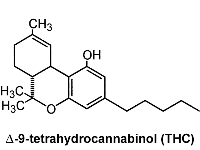 thc.gif