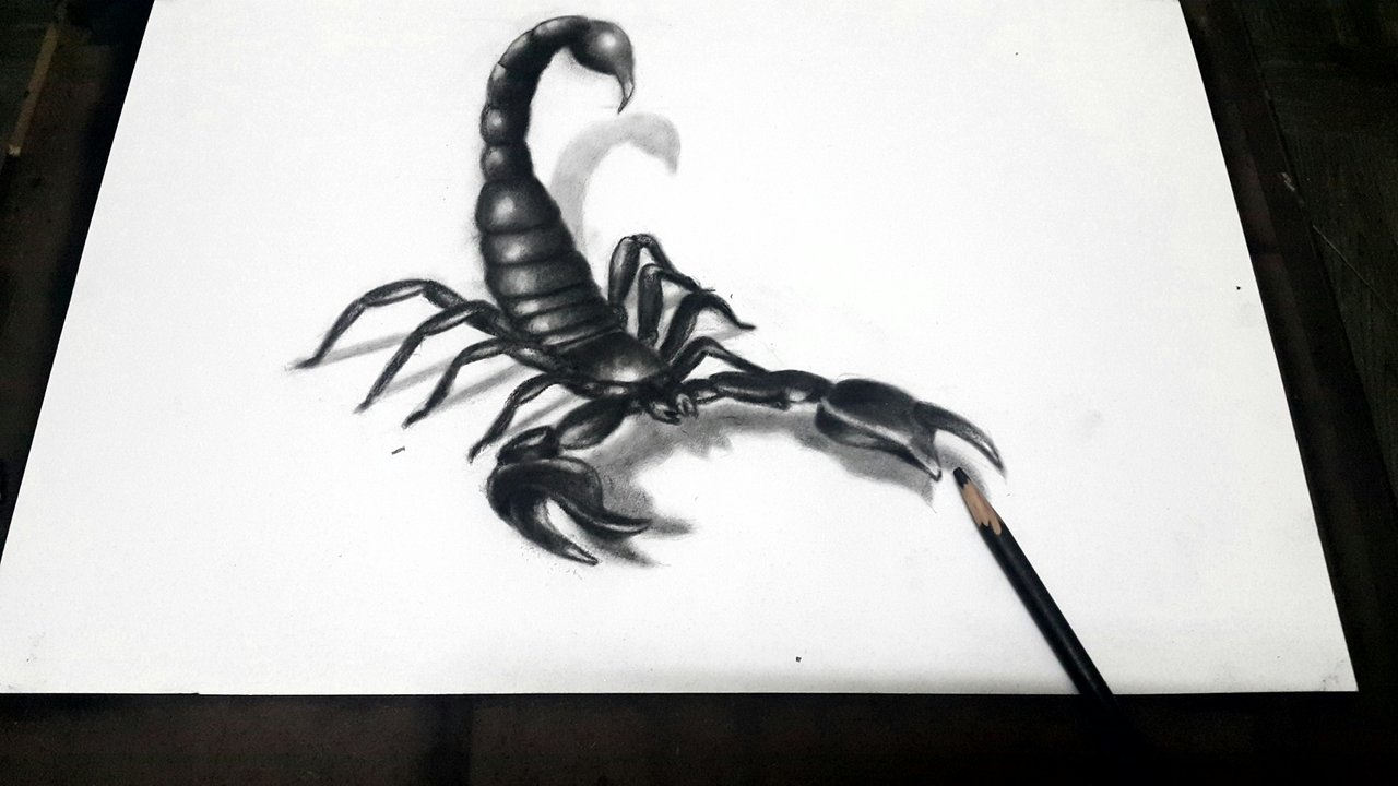Top more than 81 scorpion pencil sketch latest - in.eteachers