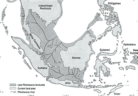 Sundaland_rivers_IceAge.gif