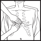 kalp-masaji-yapilacak-nokta.gif