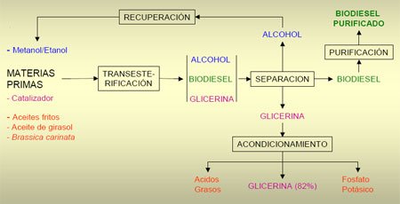 biodiesel13.gif