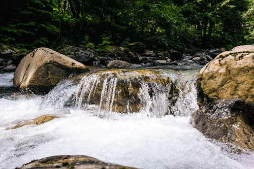 beautiful-water-flowing-brook-over-stone-animated-gif.gif