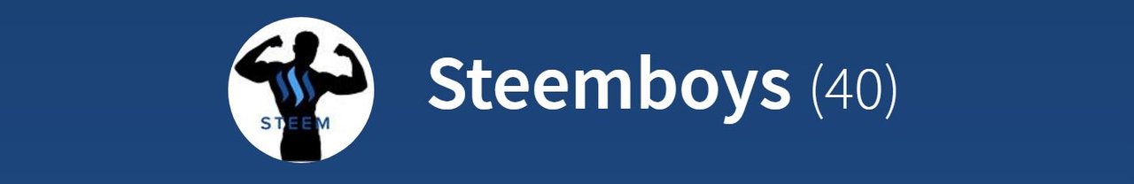 005@steemboys.JPG