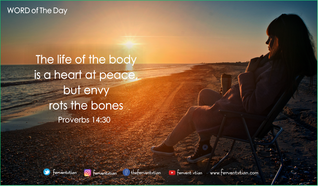 Bible Verse Of The Day: Proverbs 14:30 – Envy Rots The Bones | Peakd