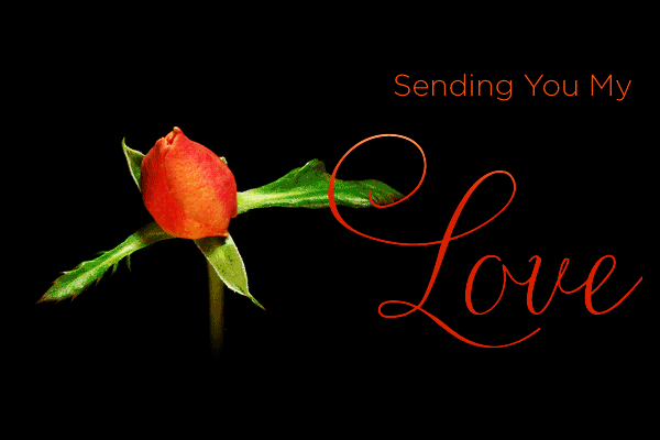 sending-you-my-love-valentines-orange-rose-animated-gif.gif