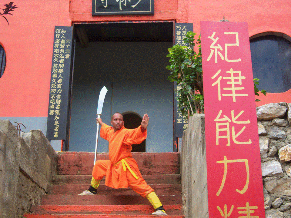 shaolin temple 4.gif