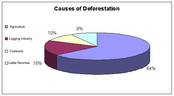 Deforestation causes.gif