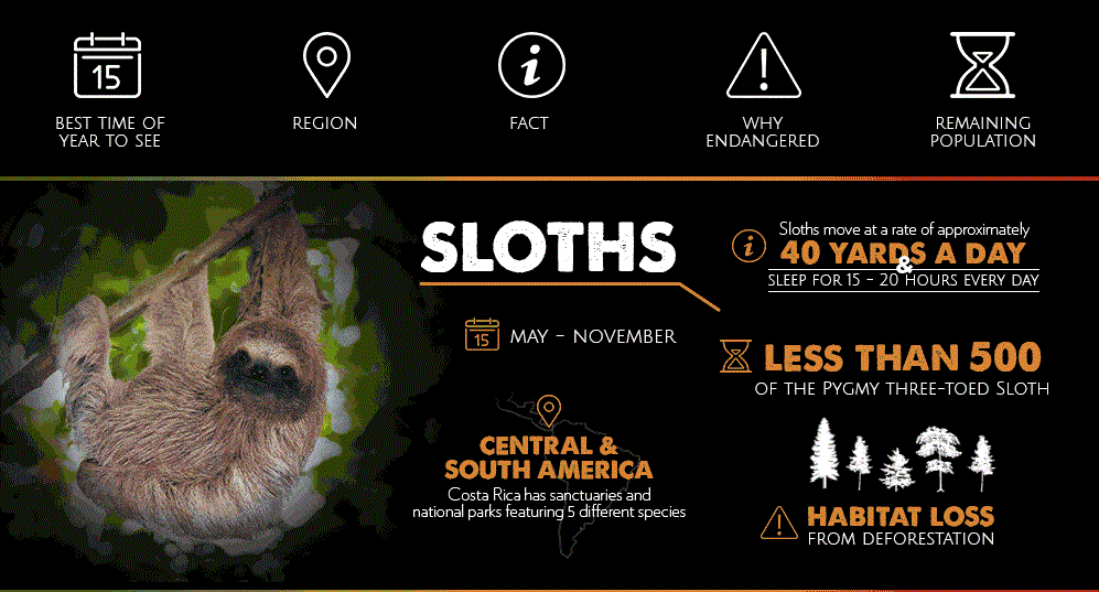 endangered-species-list-latin-america-infographic - Copy.gif