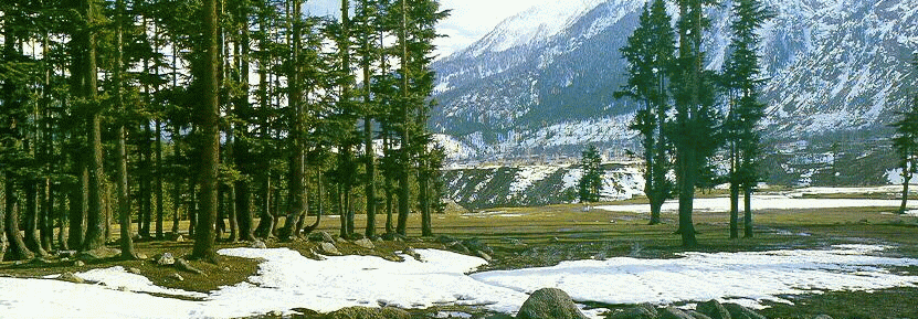 Swat-Valley-Kalam-Pakistan.gif