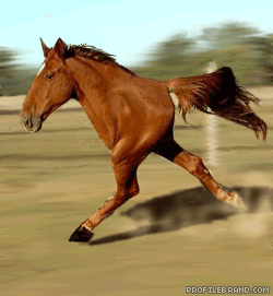 Funny-GIF-Image-for-Whatsapp-and-Facebook-15.gif
