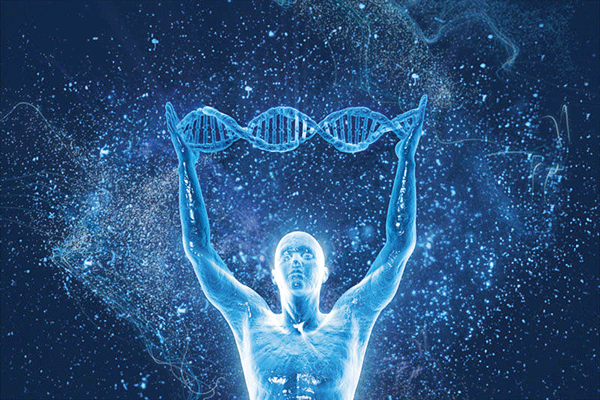 dna-human-body.gif