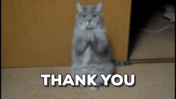 ezgif.com-video-to-gif (2).gif