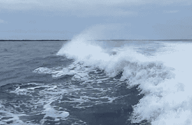 11.gif