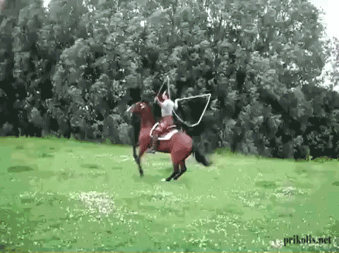 horse-jump-rope.gif
