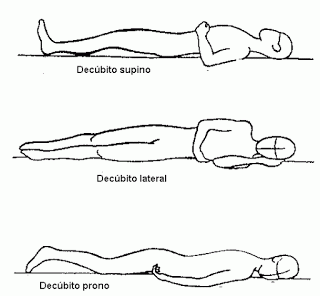 Supino-y-prono-–-Que-es-definición-anatomía.gif