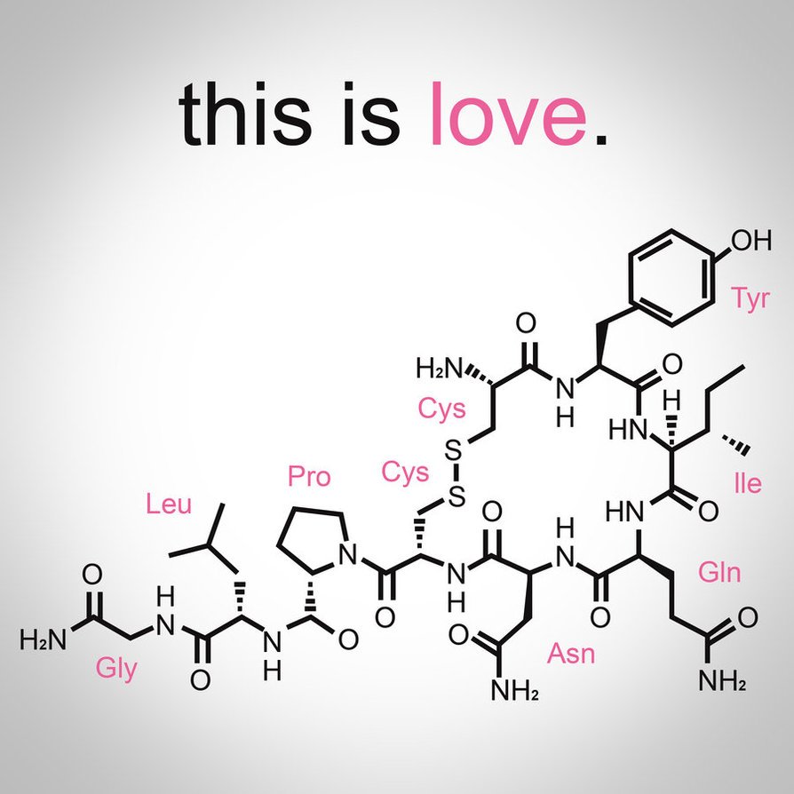 MystiFACT or FICTION response 1 Orgasmic oxytocin PeakD