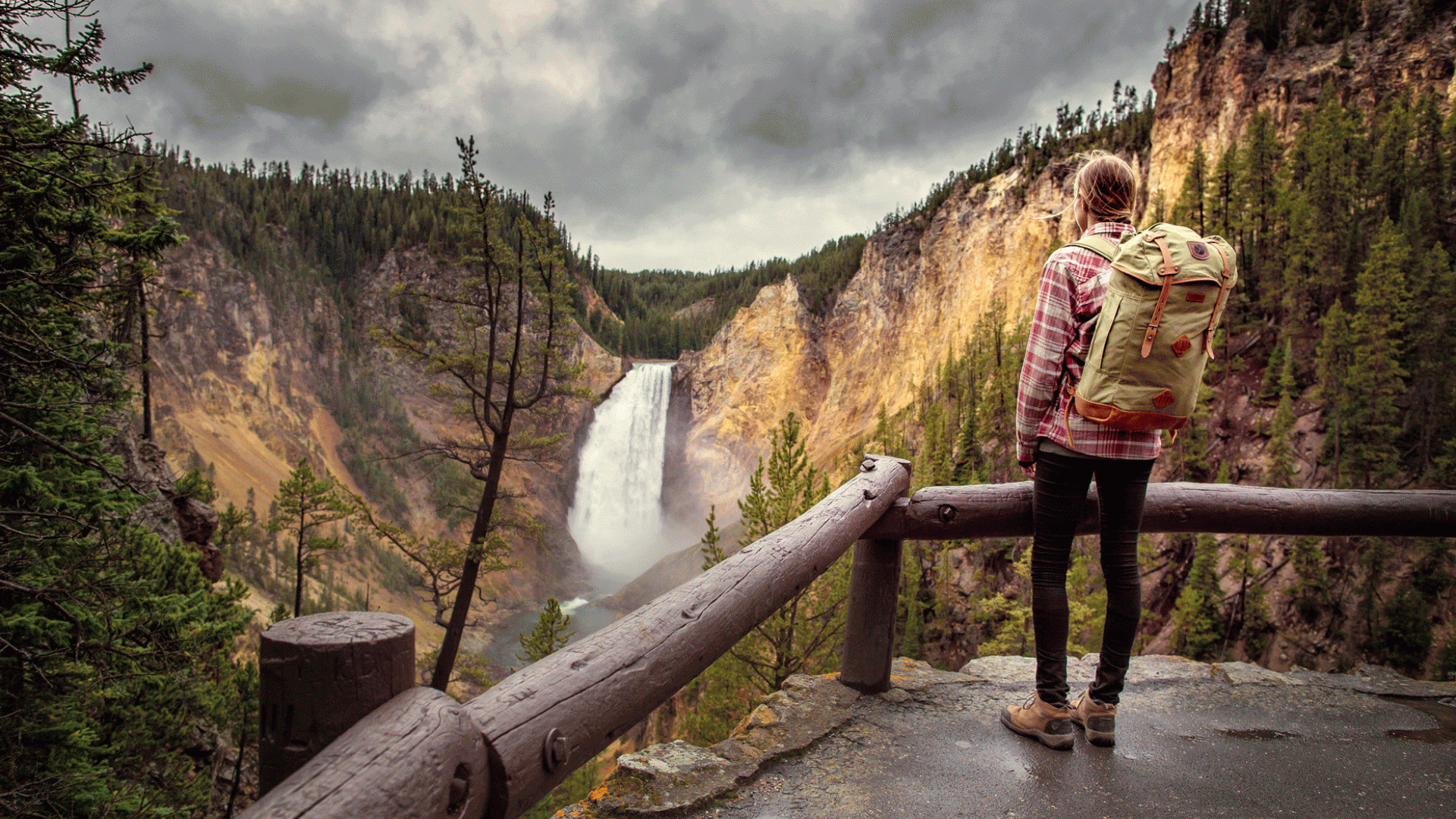 Yellowstone National Park.gif