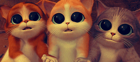 gatitos-adorables-67950.gif