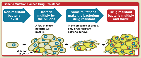 Antimicrobial_resistance_-_mutation.gif